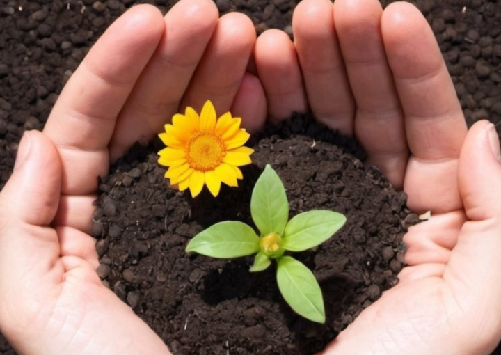 sowing seeds of success